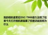我的相机是索尼DSC-T900很久没用了结果今天打开相机屏幕黑了但是还能拍照为什么