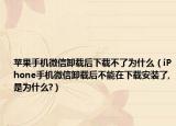 苹果手机微信卸载后下载不了为什么（iPhone手机微信卸载后不能在下载安装了,是为什么?）