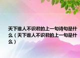 天下谁人不识君的上一句诗句是什么（天下谁人不识君的上一句是什么）