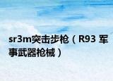 sr3m突击步枪（R93 军事武器枪械）