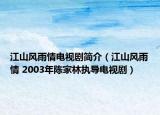 江山风雨情电视剧简介（江山风雨情 2003年陈家林执导电视剧）