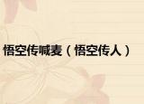 悟空传喊麦（悟空传人）