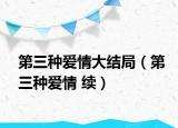 第三种爱情大结局（第三种爱情 续）