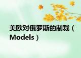 美欧对俄罗斯的制裁（Models）