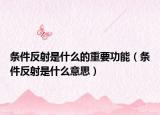 条件反射是什么的重要功能（条件反射是什么意思）