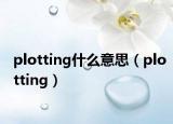 plotting什么意思（plotting）