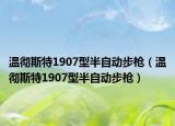 温彻斯特1907型半自动步枪（温彻斯特1907型半自动步枪）