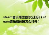 steam音乐播放器怎么打开（steam音乐播放器怎么打开）