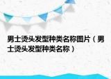 男士烫头发型种类名称图片（男士烫头发型种类名称）