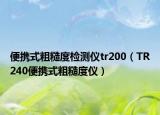 便携式粗糙度检测仪tr200（TR240便携式粗糙度仪）