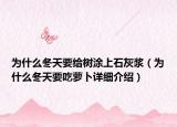 为什么冬天要给树涂上石灰浆（为什么冬天要吃萝卜详细介绍）
