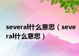 several什么意思（several什么意思）
