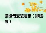 铆螺母安装演示（铆螺母）