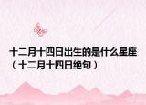 十二月十四日出生的是什么星座（十二月十四日绝句）