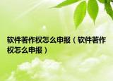 软件著作权怎么申报（软件著作权怎么申报）