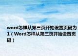 word怎样从第三页开始设置页码为1（Word怎样从第三页开始设置页码）