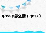 gossip怎么读（goss）