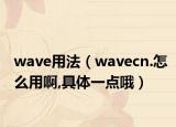 wave用法（wavecn.怎么用啊,具体一点哦）