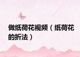 做纸荷花视频（纸荷花的折法）