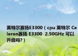 英特尔赛扬E3300（cpu 英特尔 Celeron赛扬 E3300  2.50GHz 可以升级吗?）