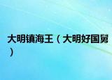 大明镇海王（大明好国舅）
