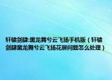 轩辕剑肆:黑龙舞兮云飞扬手机版（轩辕剑肆黑龙舞兮云飞扬花屏问题怎么处理）