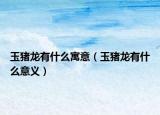 玉猪龙有什么寓意（玉猪龙有什么意义）