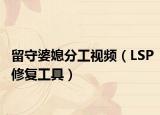 留守婆媳分工视频（LSP修复工具）