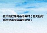 夏天新冠病毒会消失吗（夏天新冠病毒会消失吗详细介绍）