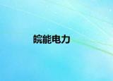 皖能电力
