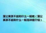 蒲公英茶不能和什么一起喝（蒲公英茶不能和什么一起泡详细介绍）