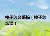 榛子怎么采摘（榛子怎么读）
