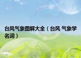 台风气象图解大全（台风 气象学名词）