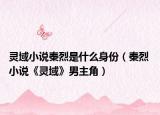 灵域小说秦烈是什么身份（秦烈 小说《灵域》男主角）