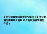 支付宝的爱情树需要多少能量（支付宝爱情树需要多少能量 多少能量能种爱情树介绍）