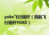 yoke飞行摇杆（民航飞行摇杆YOKE）
