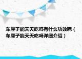 车厘子能天天吃吗有什么功效呢（车厘子能天天吃吗详细介绍）