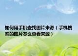 如何用手机查找图片来源（手机搜索的图片怎么查看来源）