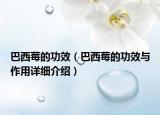 巴西莓的功效（巴西莓的功效与作用详细介绍）