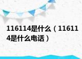 116114是什么（116114是什么电话）
