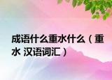 成语什么重水什么（重水 汉语词汇）