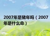 2007年是猪年吗（2007年是什么命）