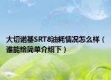 大切诺基SRT8油耗情况怎么样（谁能给简单介绍下）