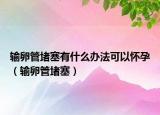 输卵管堵塞有什么办法可以怀孕（输卵管堵塞）