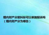 婚内财产分割纠纷可以单独起诉吗（婚内财产分为哪些）