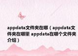 appdata文件夹在哪（appdata文件夹在哪里 appdata在哪个文件夹介绍）