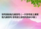 羽毛球应有几根羽毛（一只羽毛球上通常有几根羽毛 羽毛球上的羽毛有多少根）