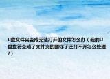 u盘文件夹变成无法打开的文件怎么办（我的U盘盘符变成了文件夹的图标了还打不开怎么处理?）