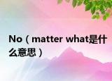 No（matter what是什么意思）