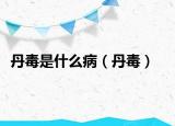 丹毒是什么病（丹毒）